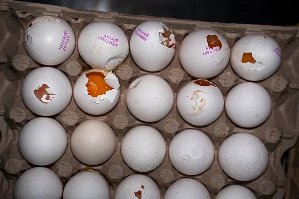 Mille jaoks on munad? Mille jaoks on munad?