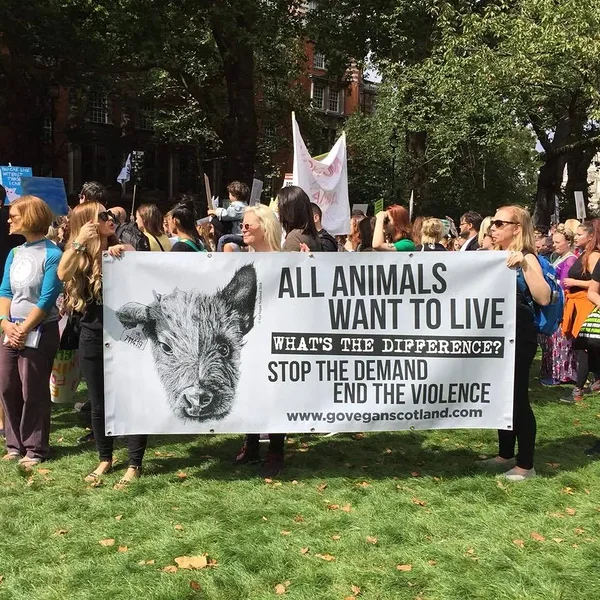 Kas veganlus on eluviis? Kas veganlus on eluviis?