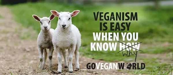 Veganlusega alustamine: eeldused muutusteks Veganlusega alustamine: eeldused muutusteks