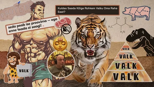 Kõrge valgusisaldusega dieedid on populaarsed, kuid need ei ole kindlasti jätkusuutlikud Kõrge valgusisaldusega dieedid on populaarsed, kuid need ei ole kindlasti jätkusuutlikud