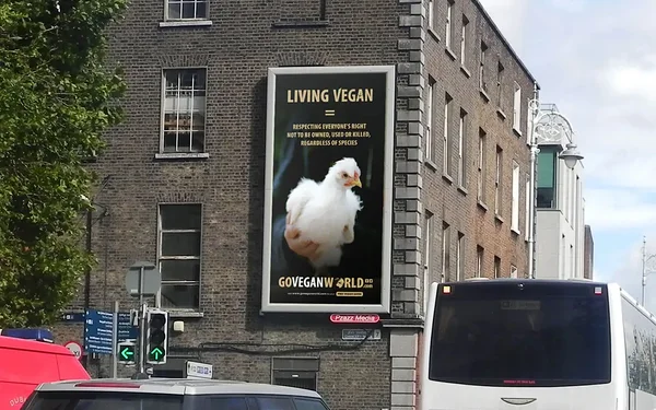 Mida veganina elamine tähendab? Mida veganina elamine tähendab?