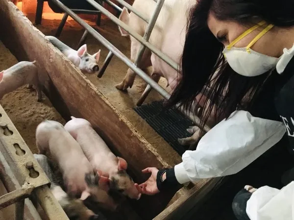 Aktivist: Meie saame koju minna, ohvrid aga jäävad põrgusse Aktivist: Meie saame koju minna, ohvrid aga jäävad põrgusse