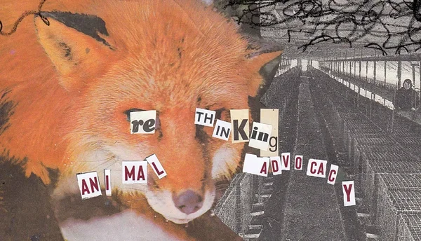 IX Rahvusvaheline loomaõiguste konverents ANIMAL FUTURES 2024 IX Rahvusvaheline loomaõiguste konverents ANIMAL FUTURES 2024