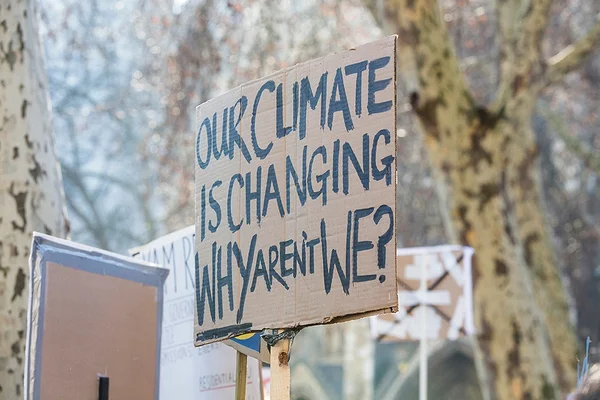 Eneseületus jätkusuutliku ettevõtluse festivalil Eneseületus jätkusuutliku ettevõtluse festivalil