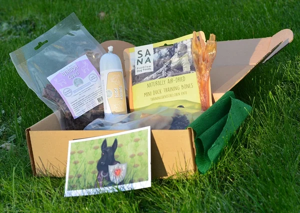 dog treats box dog treats box