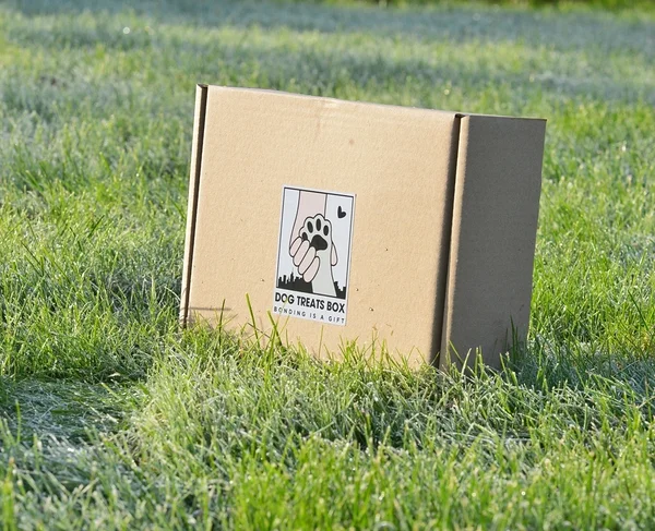 koerte treat box koerte treat box