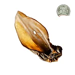 Bb771cb1 db2f 4d78 bfa8 10971c5b8a05 1