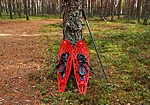 Bog shoes hiking soft wet bogs estonia.jpg