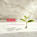 Defending data alusta
