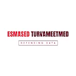 Defending data esmased turvameetmed