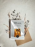 Studio gift card 250
