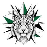 Ilves3