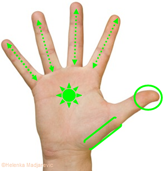 main-droite-doigts-plexus-solaire-colonne-vertébrale