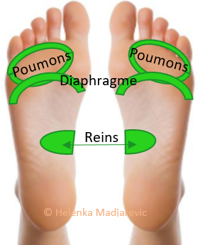 pieds-plantaire-zones réflexes-poumons-diaphragme-reins