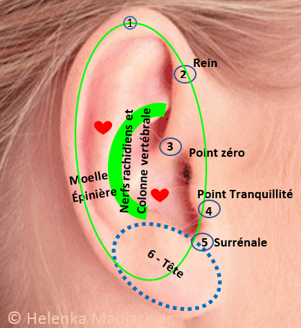 stress-réflexologie-oreilles-points-zones