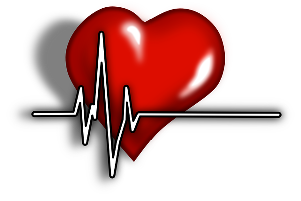 Graphique-cœur-électrocardiogramme