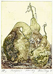 Pumpkins. Electro-etching on copper plate. 20 x 15 cm.  Lines on hard ground. Electrotint with semi-dry electro-etching.