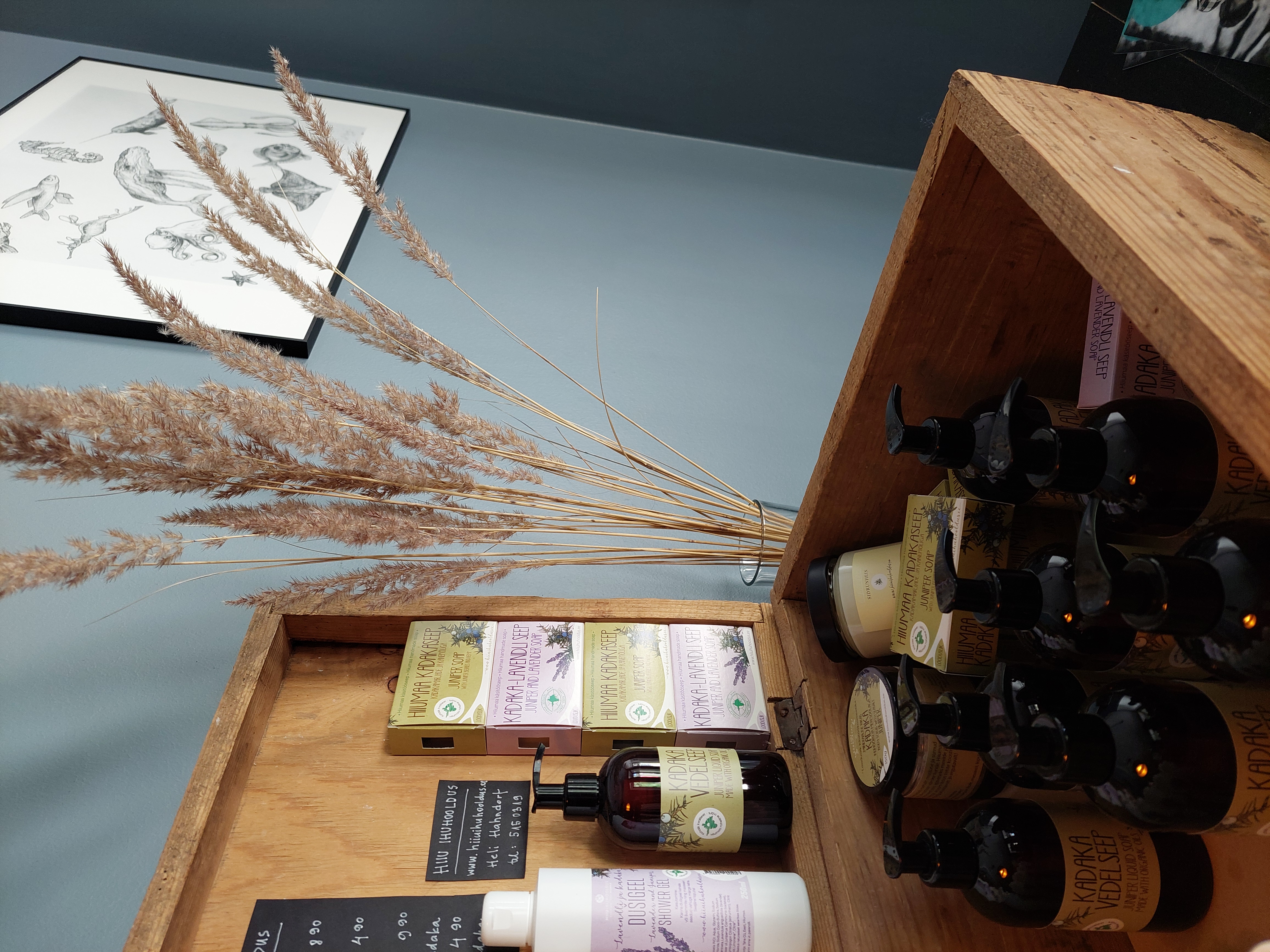 hiiuihuhoolduse toodete kohver Hõbekala majutuses