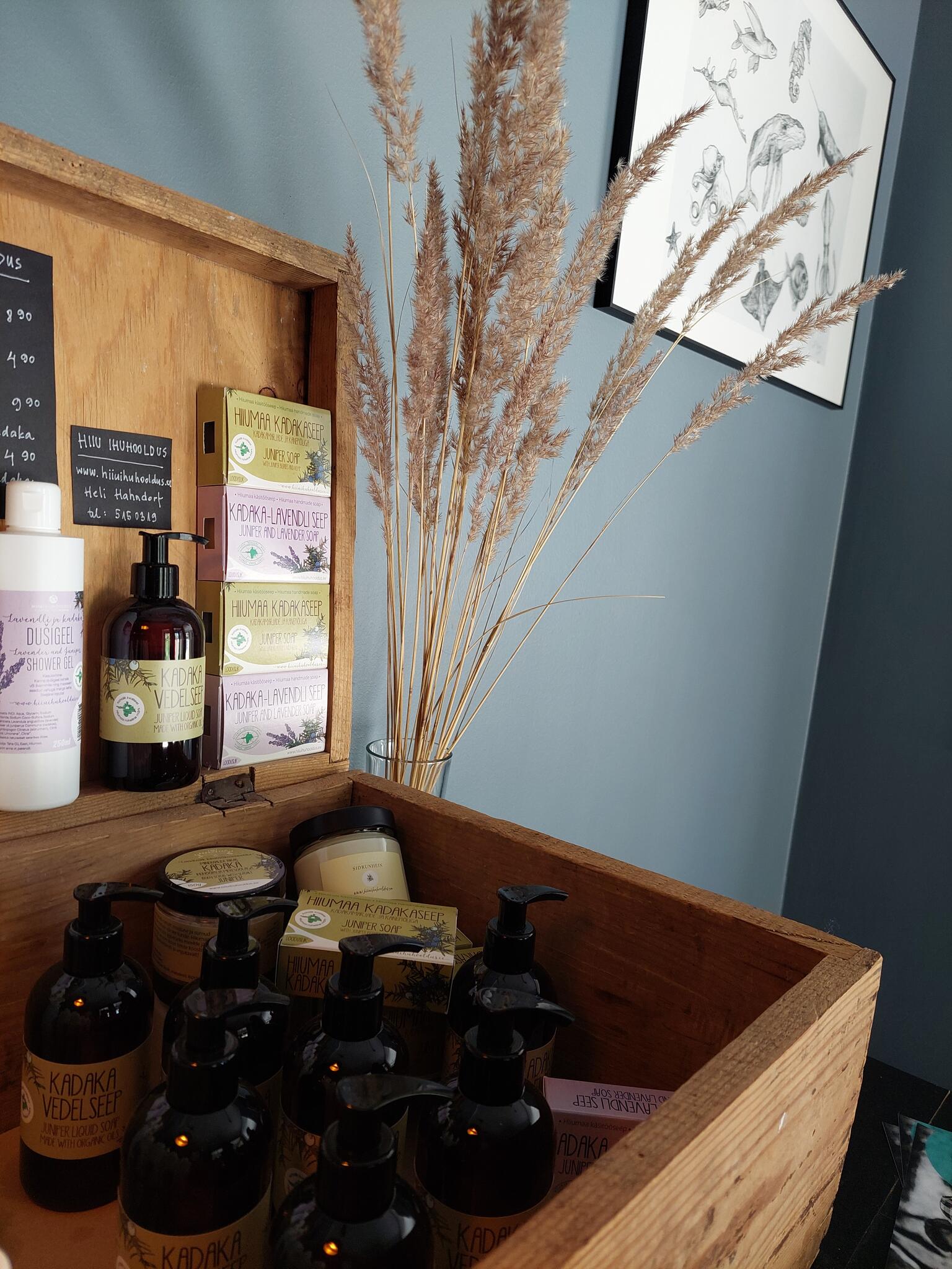 hiiuihuhoolduse toodete kohver Hõbekala majutuses