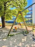 Img 3774