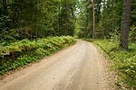 Ähijärve roads and paths trail