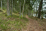 Järvi Pikkjärve campsite - Järvi-Aegviidu haiking trail