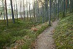 Jussi Nature trail