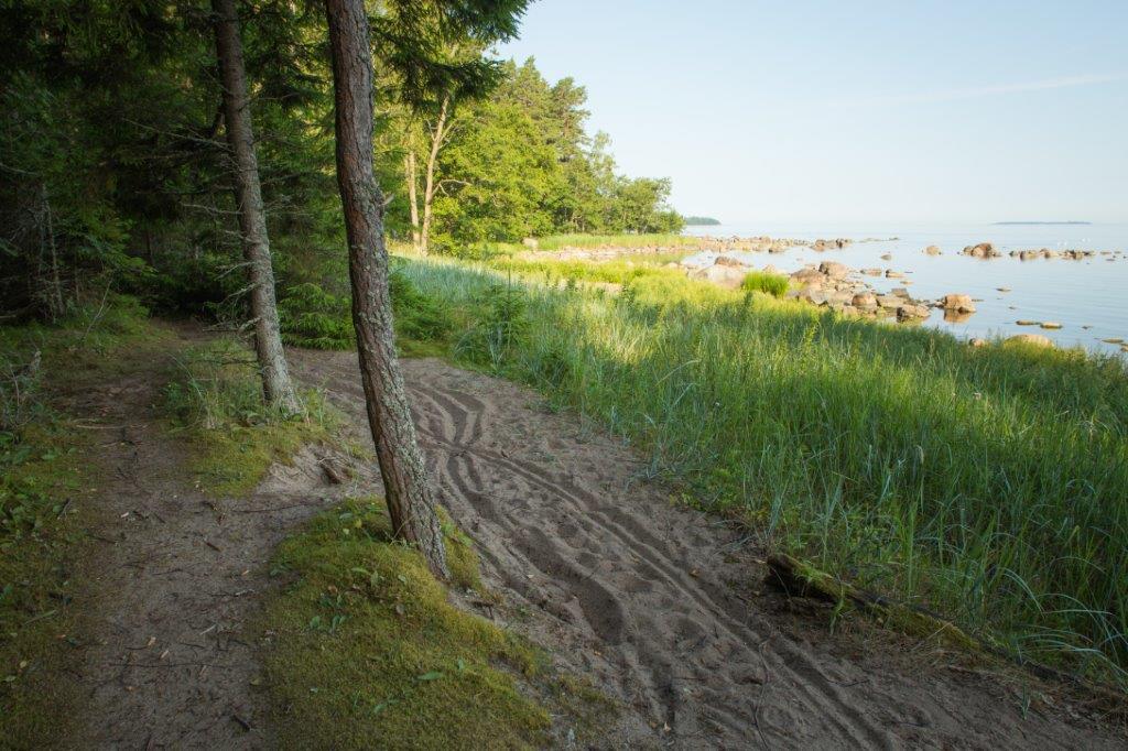 Käsmu hiking trail (15 km) | Loodusega koos RMK