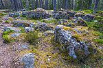 Käsmu nature and culture historical trail. Photo by Külli Tedre-Gavrilov
