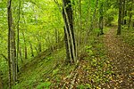 Kütioru short hiking trail 