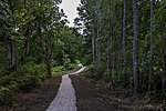 Sagadi-Oandu forest fairy tales trail