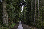 Sagadi-Oandu forest fairy tales trail