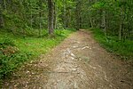 Nõmmeveski–Liiapeksi hiking trail