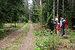 Ojaäärse forest trail
