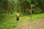 Ojaäärse forest trail