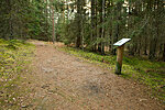 Paukjärve nature trail -  Spots of interest with descriptions