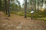 Paukjärve nature trail -  spots of interest with descriptions