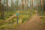 Paukjärve nature trail - RMK hiking route Oandu-Aegviidu-Ikla