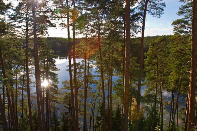 View of lake Paukjärv from the observation tower