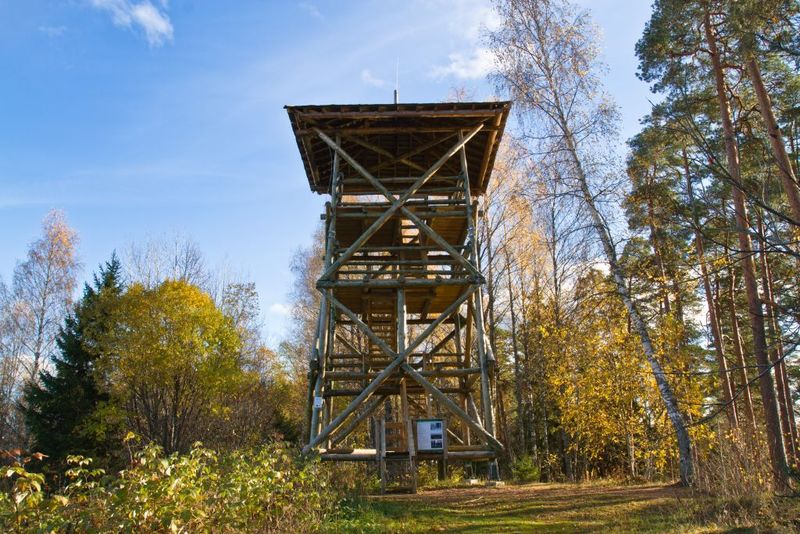 Paukjärve observation tower