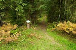 Peräjärve forest trail