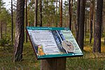 Seljamäe study trail