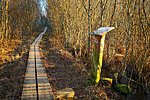 Simisalu-Matsimäe nature trail - Spots of interest with descriptions
