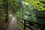 Kiidjärve-Kooraste Recreation Area - Taevakodade hiking trail