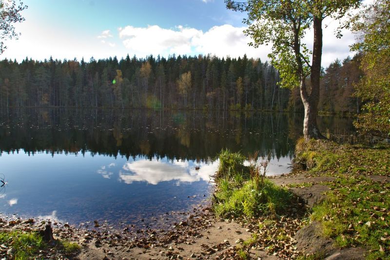 Järvi Pärnjärve campsite - Lake Järvi Pärnjärv