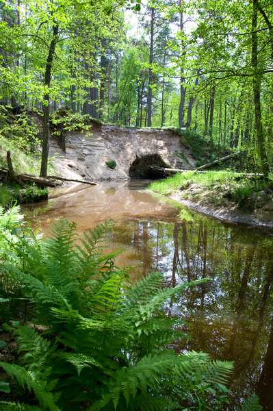  Kauksi stream study trail 