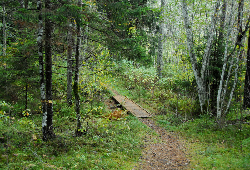 Kilingi-Nõmme forest trail