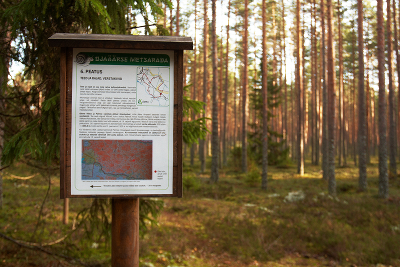 Beginning of Ojaäärse nature trail