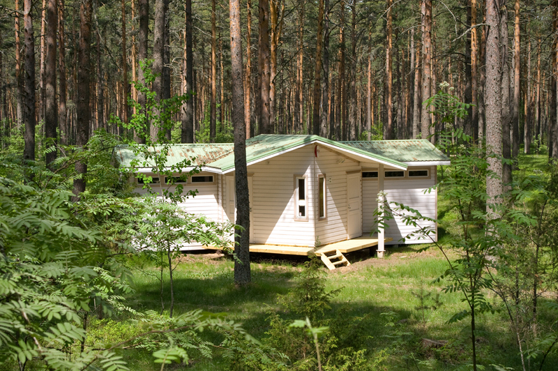 Место для установки палаток в прибрежном лесу Каукси