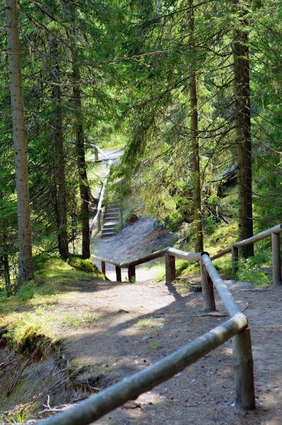 Taevaskodade hiking trail